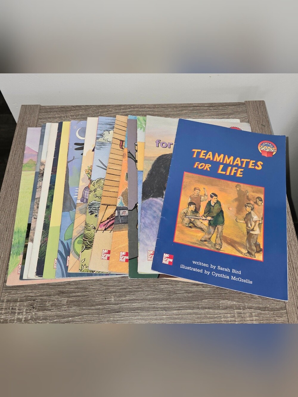 Lot of 17 McGraw-Hill Mixed Leveled Elementary School Readers Leveled Books READ